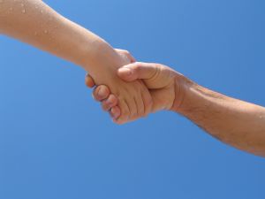 1028001_helping_hands_4.jpg