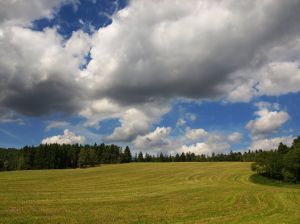 1062161_czech_landscape.jpg