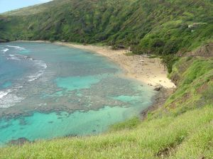 271898_hanauma_bay.jpg