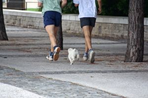 562548_jogging_with_dog.jpg