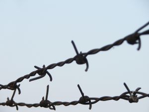 783848_barbed_wire_1.jpg